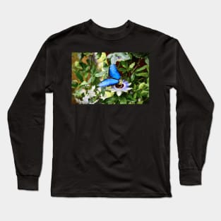 Schmetterling Morphofalter / Swiss Artwork Photography Long Sleeve T-Shirt